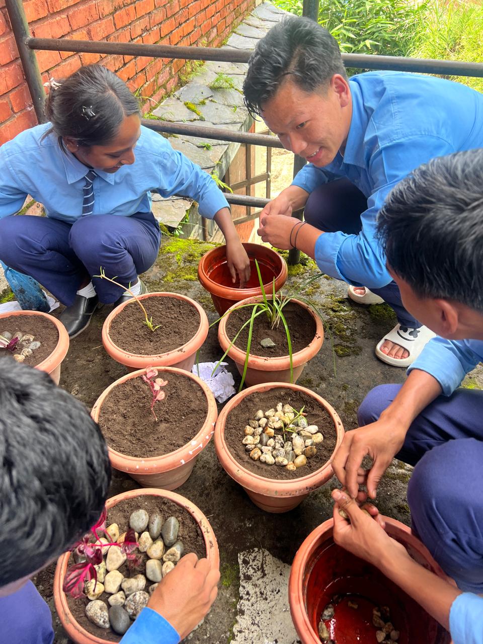 Potting