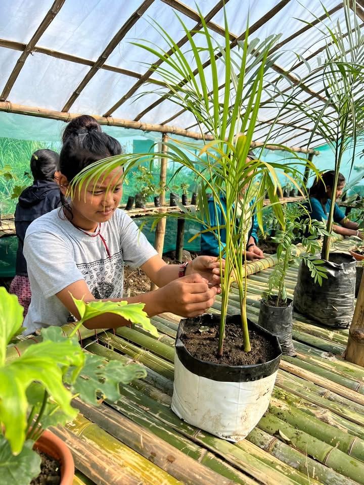 Nursery